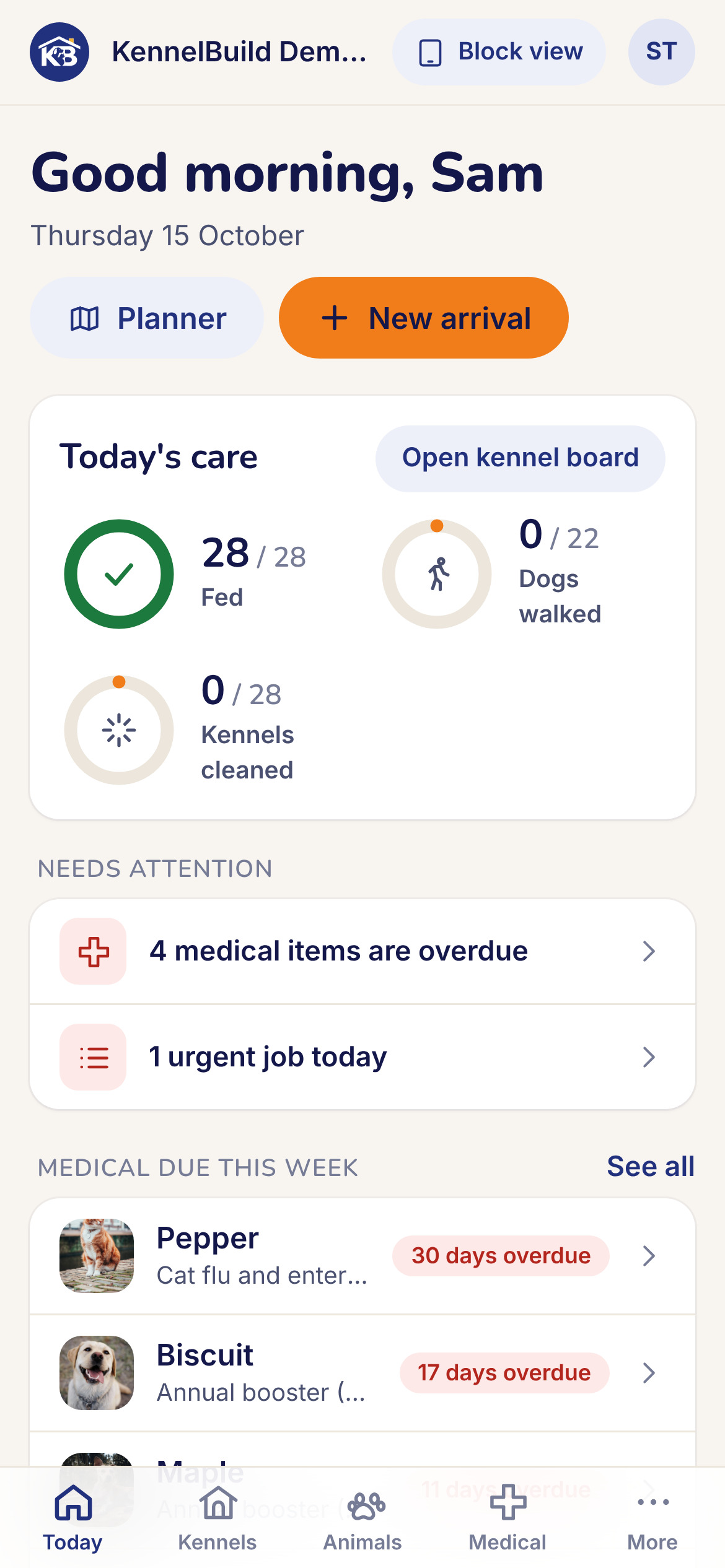 Today's care on a phone, with rounds done and medical items due